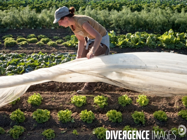 Pour un nouveau modèle agricole, la SCOP de la Coopérative Paysanne de Belêtre (37)