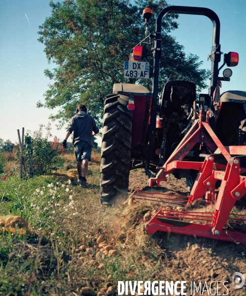 Pour un nouveau modèle agricole, la SCOP de la Coopérative Paysanne de Belêtre (37)