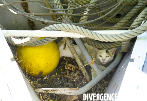 Copropriété flottante au Port de plaisance de Vigneux-sur-Seine