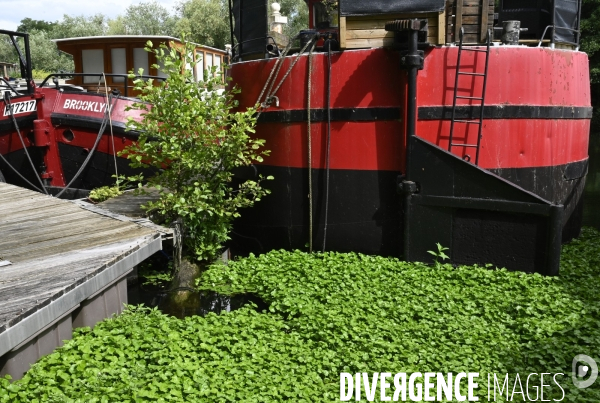 Copropriété flottante au Port de plaisance de Vigneux-sur-Seine