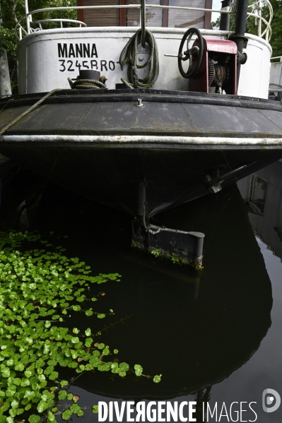 Copropriété flottante au Port de plaisance de Vigneux-sur-Seine