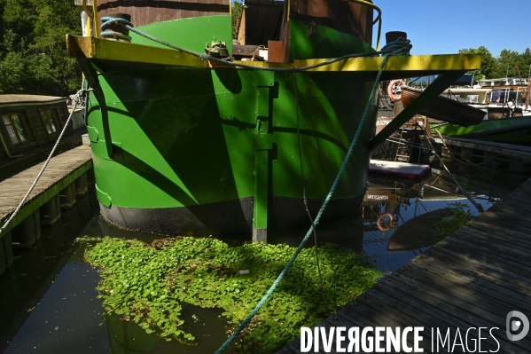 Copropriété flottante au Port de plaisance de Vigneux-sur-Seine