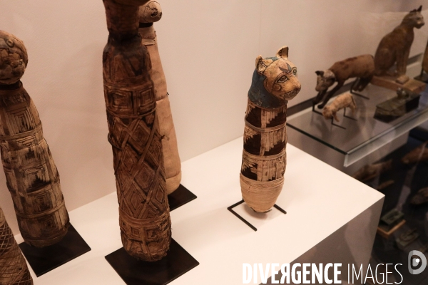 Le louvre au temps du covid