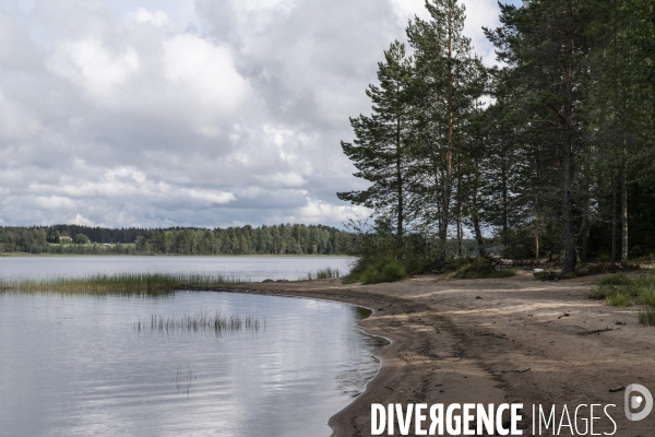 Forêt en Finlande