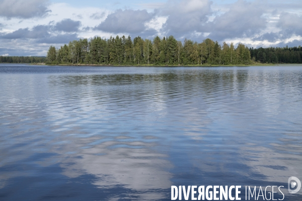 Forêt en Finlande