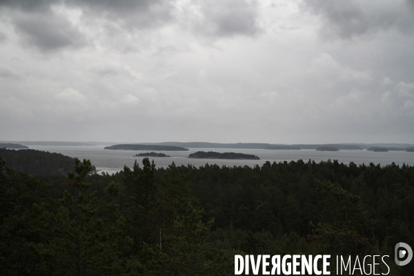 Forêt en Finlande