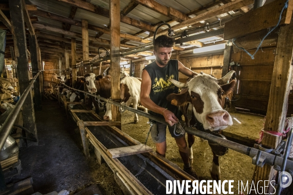 La dernière ferme fromagère de Ceillac.