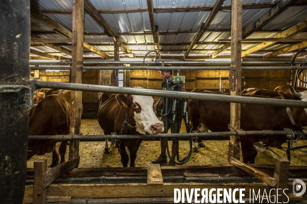 La dernière ferme fromagère de Ceillac.