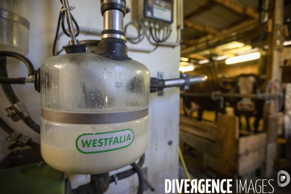 La dernière ferme fromagère de Ceillac.