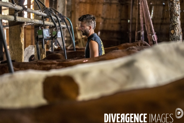 La dernière ferme fromagère de Ceillac.