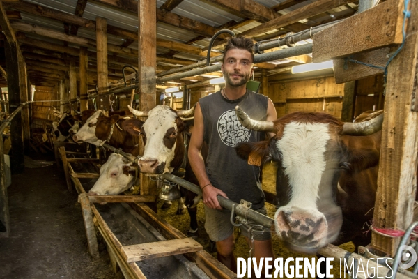 La dernière ferme fromagère de Ceillac.