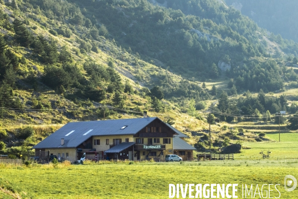 La dernière ferme fromagère de Ceillac.