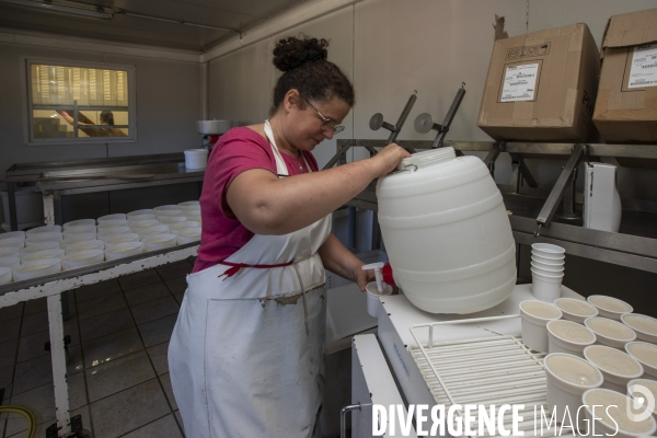 La dernière ferme fromagère de Ceillac.