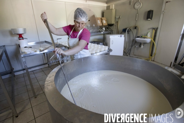 La dernière ferme fromagère de Ceillac.