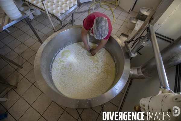 La dernière ferme fromagère de Ceillac.