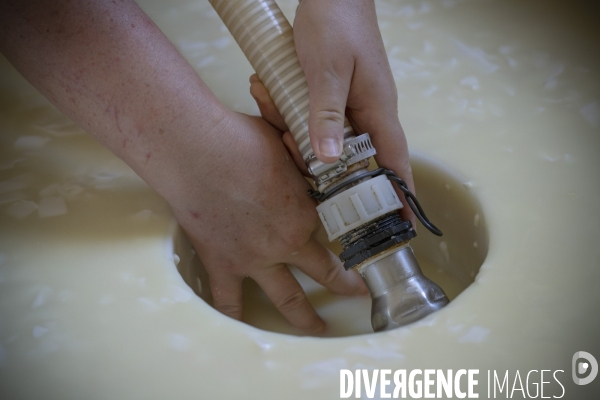 La dernière ferme fromagère de Ceillac.