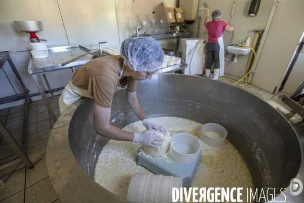 La dernière ferme fromagère de Ceillac.