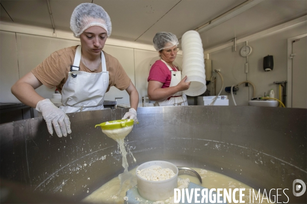 La dernière ferme fromagère de Ceillac.