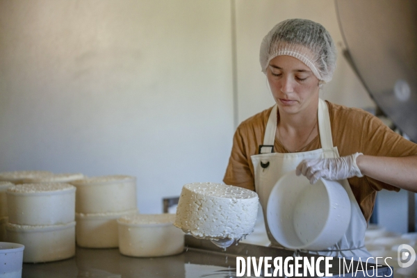 La dernière ferme fromagère de Ceillac.