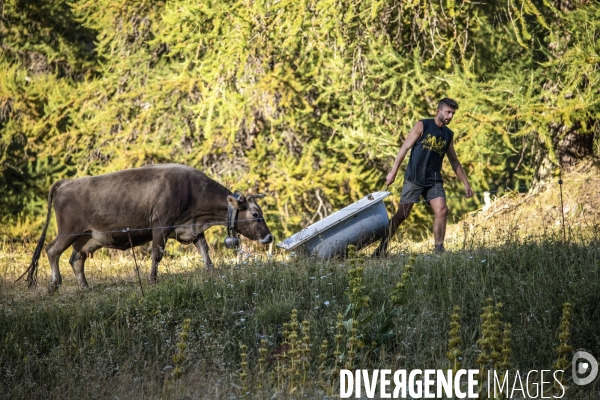 La dernière ferme fromagère de Ceillac.