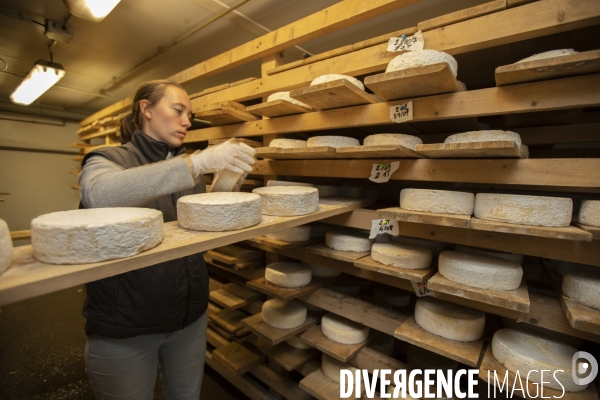 La dernière ferme fromagère de Ceillac.