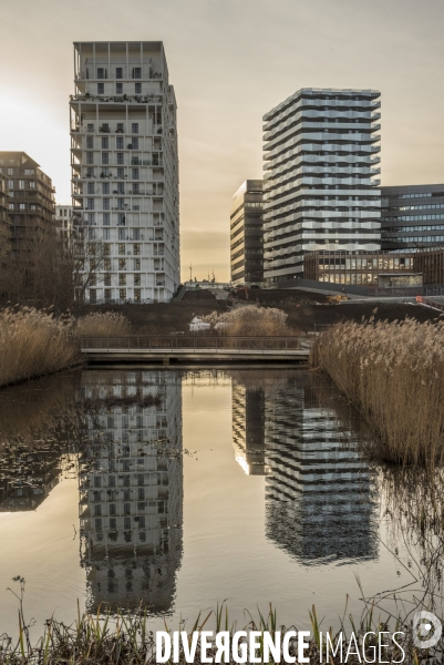 Parc Clichy-Batignolles - Martin-Luther-King