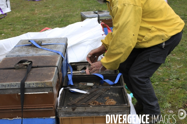 Saint Dalmas de Tende le 13/11/2020 Henri 63 ans , apiculteur a beneficié de l aide du Rotary club de Nice pour evacuer ses 80 ruches se trouvant à une altitude de 1000 metres par helicoptere des hauteurs de Casterino.