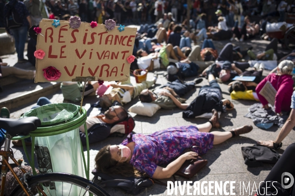 Manifestation pour la defense des jardins des vertus.