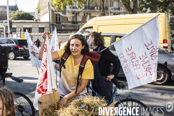 Manifestation pour la defense des jardins des vertus.