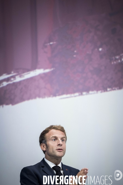 Emmanuel Macron aux rencontres de l U2P