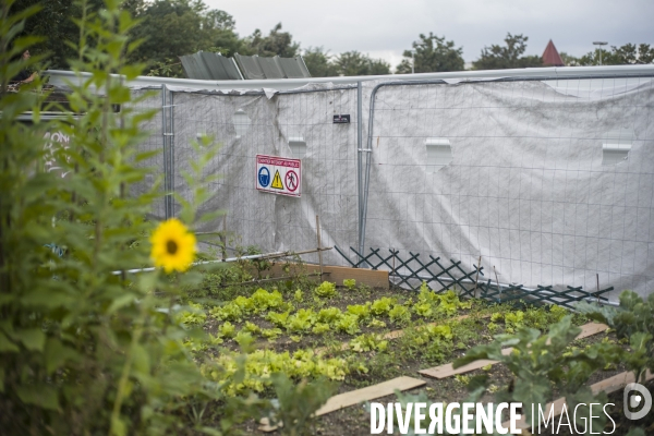 Chantier au jardins des vertus - 20 septembre 2021