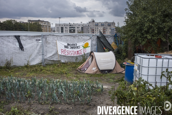 Chantier au jardins des vertus - 20 septembre 2021