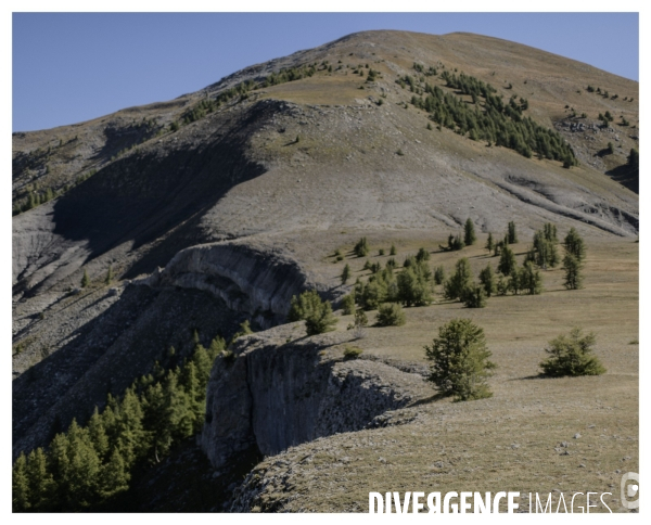 Le long de la Transbassealpine Digne-Nice ( la fin de l été )