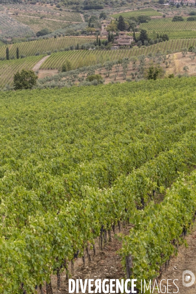 Paysages du chianti/toscane