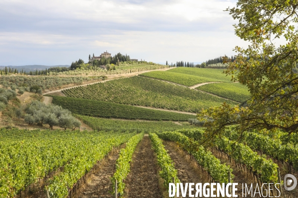 Paysages du chianti/toscane