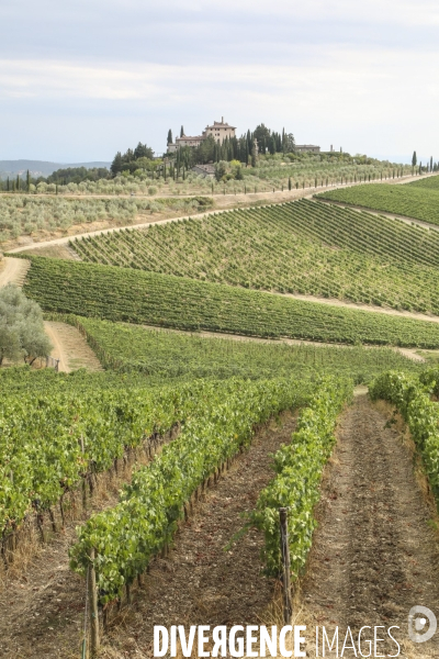 Paysages du chianti/toscane