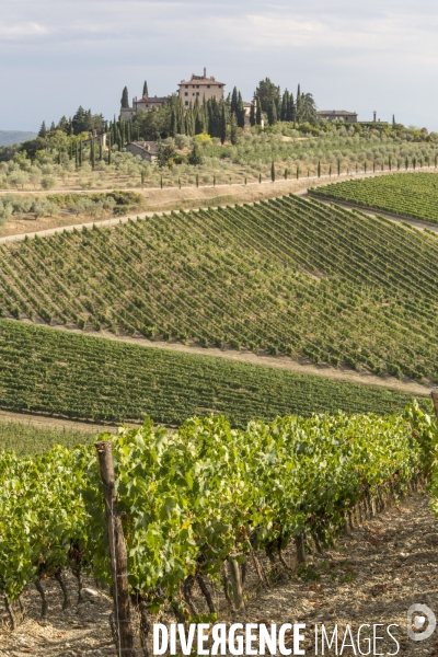 Paysages du chianti/toscane