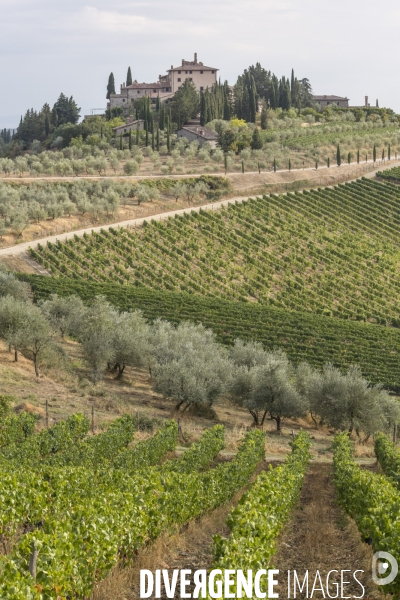 Paysages du chianti/toscane