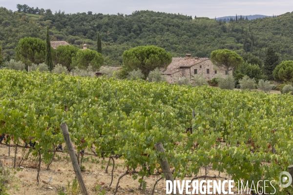 Paysages du chianti/toscane