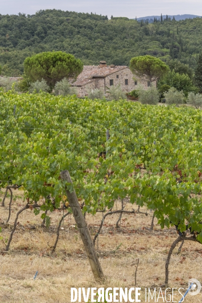 Paysages du chianti/toscane