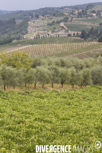 Paysages du chianti/toscane