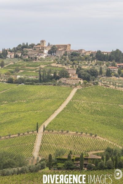 Paysages du chianti/toscane