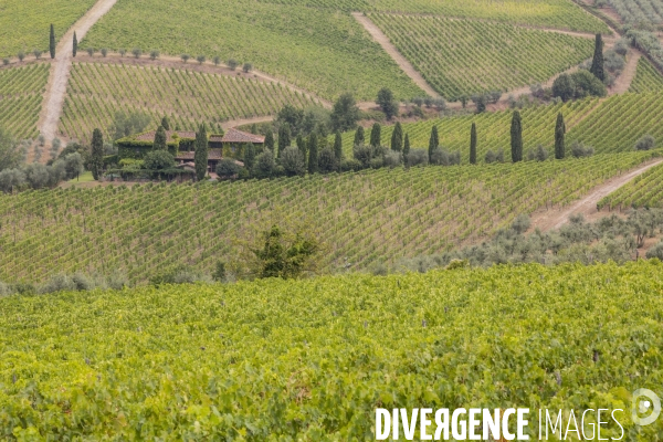 Paysages du chianti/toscane