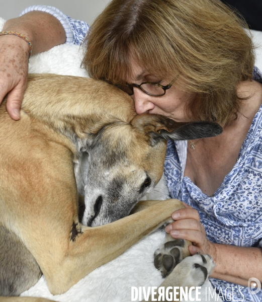 Joelle, femme militante pour la protection animale, avec sa chienne Lévrier Galgos.