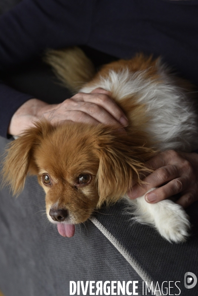 Heloise, femme militante pour la protection animale, avec sa chienne Chanelle.