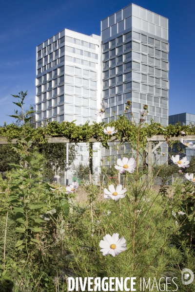 Les Jardins partages du Pont de Sevres