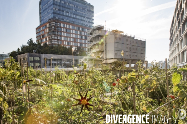 Les Jardins partages du Pont de Sevres