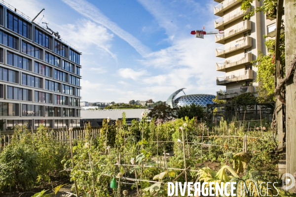 Les Jardins partages du Pont de Sevres