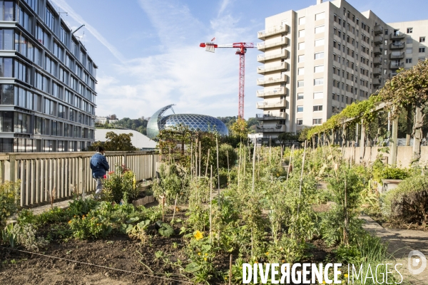 Les Jardins partages du Pont de Sevres