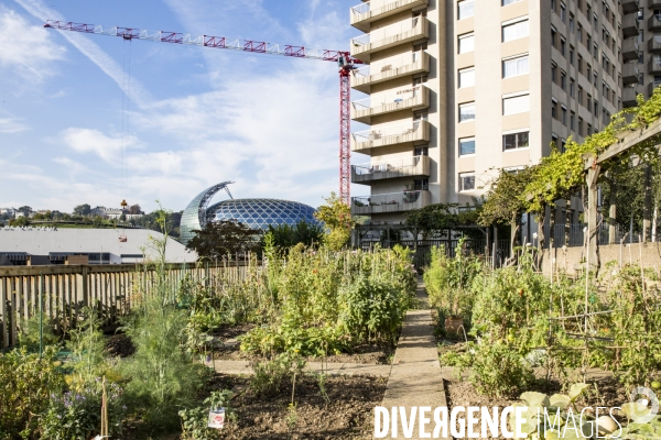 Les Jardins partages du Pont de Sevres